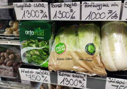 fruitduo_ocsodi-uzlet 09