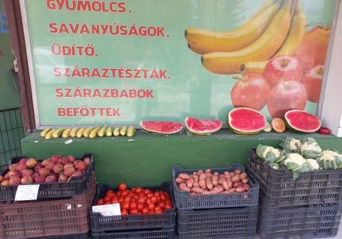zoldseg sziget bkszt